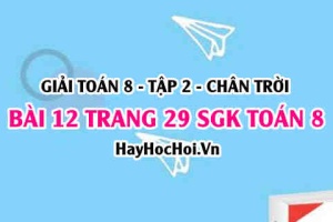 Bài 12 trang 29 Toán 8 Tập 2 Chân trời sáng tạo